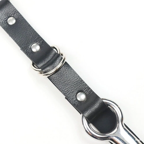 EverydayUse and Leash Kinky Anal with 5853 Collar Hook 1111